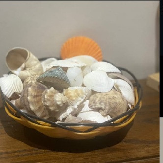 سلة صدف مع الصدف